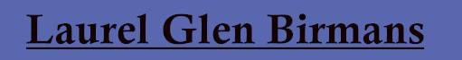 lglogo.jpg (9156 bytes)